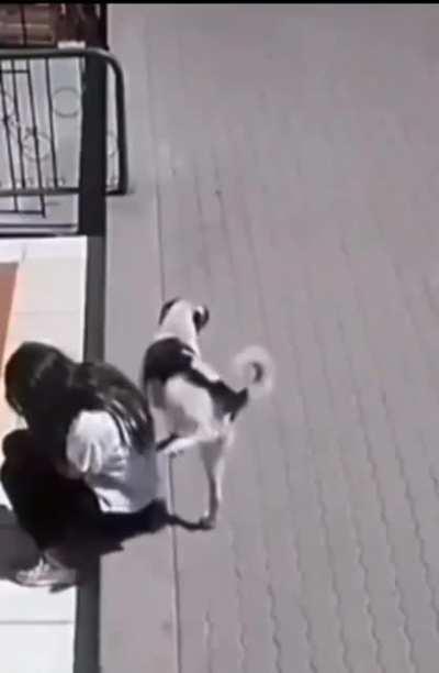 He already knows he's the goodest boy