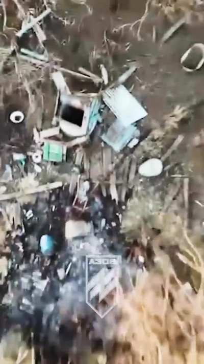 Fly High: Azov Brigade launches invader skyward on Toretsk direction