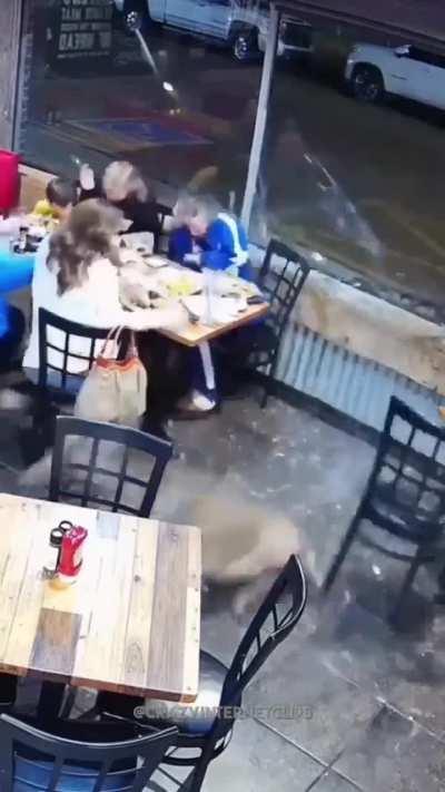 Deer is back on the menu