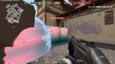 ACE 5 Heads ( plat elo)