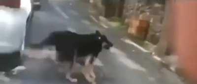 Bu ne amk dhakdjaodj