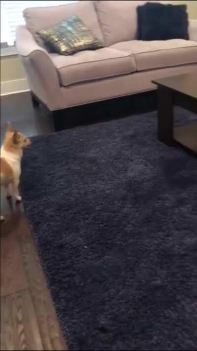 A brutal sneak attack