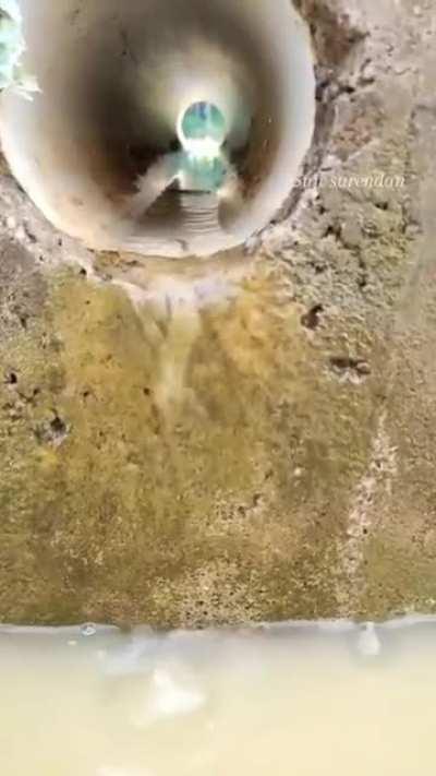 There's fish in there. That's why not. Stop asking.