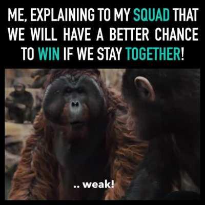 APES together STRONG!!!