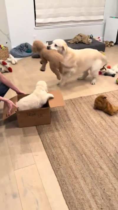 Gettin a lil brother ☺️❤️