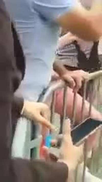 French president get slapped