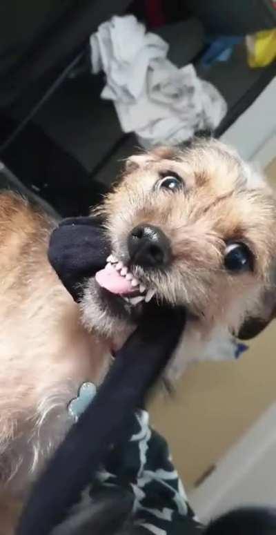 She wont give me the sock back...