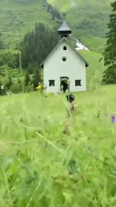 Seemed shaky at first but the result was outstanding