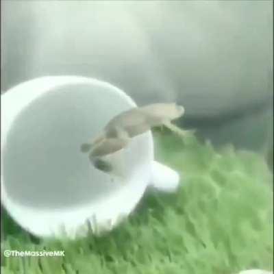 Put this to good use