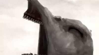 In Bereft Land, The Raven Flies.