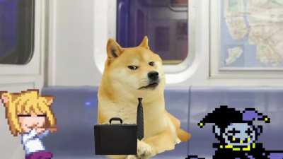 Doge Goes to Work