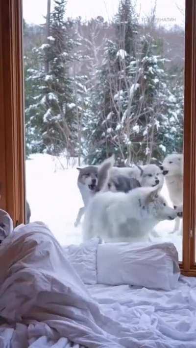 Аренда домика поближе к природе 