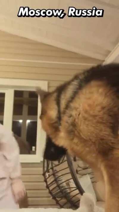 Hey! i'm trying to make a global collaboration over Reddit, would anyone here be able to represent your beautiful country of Azerbaijan in the video?