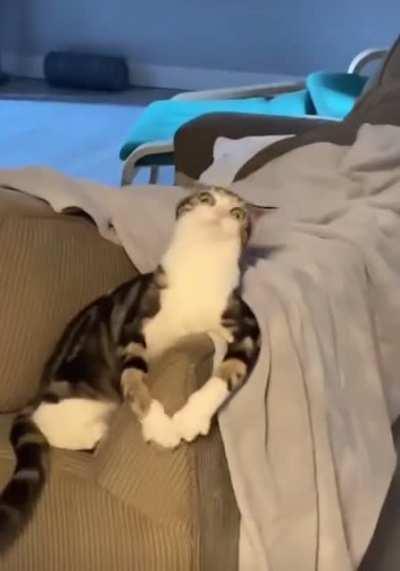 Derping on the couch.