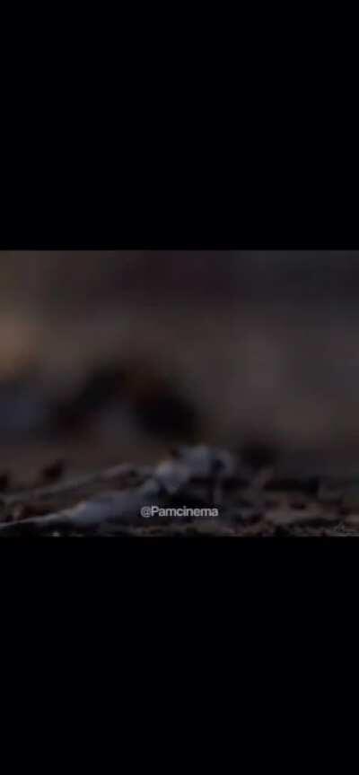 I hope you all have a good day