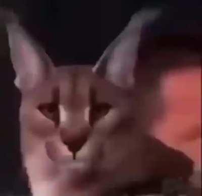 What vs takes got you like this?