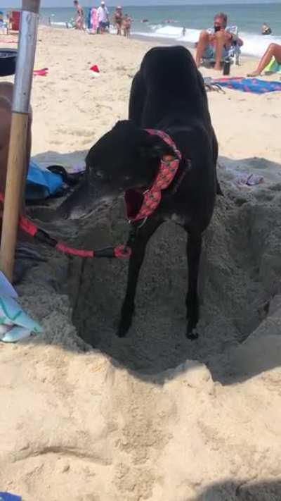 Diggin my beach hole!