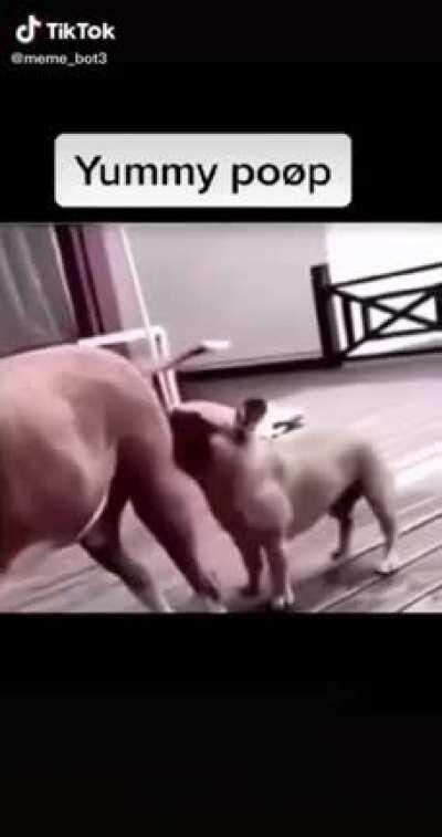 Poop funny poop stinks