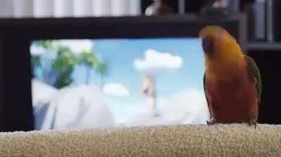 Birby too like to move it ♪~ ᕕ(ᐛ)ᕗ