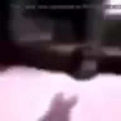 Mono dando vueltas a 96p no puedo hacer q se vea peor upvote si quieres escapar de Latinoamérica