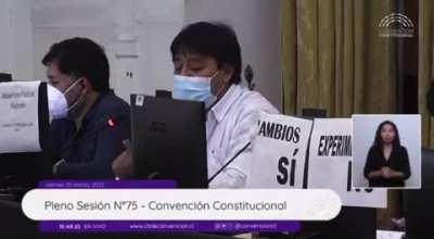 Cuanto era que ganaban estos parasitos por intentar escribir una constitución?
