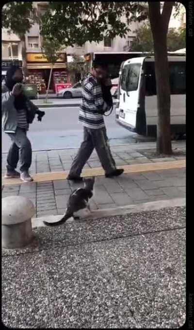 That's what they get for trespassing in his territory