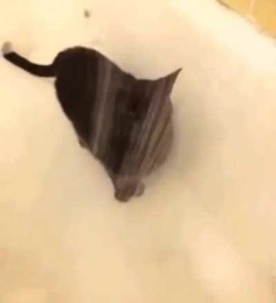 something is wrong with my gleeline... what mundane action is he performing?? im worried