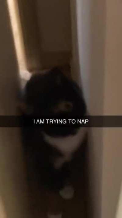 Boooooiiinnnnnggg boiiiinnnnnggg