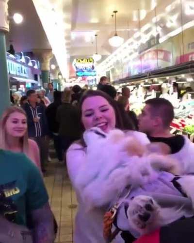 Good girl loves to go on the train.