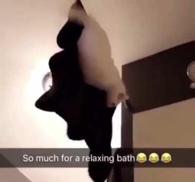 The cat was ok. Don’t worry