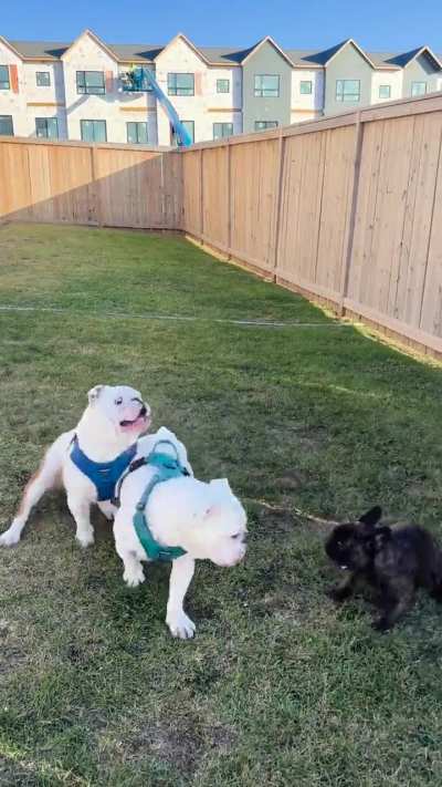 Lyla having a good time with her English friends!