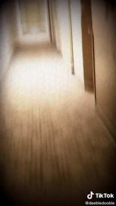 S̑̀̃͌̌ͭ͡ͅU̲ͣ̔̚S͈̭͈̜̺̳͂