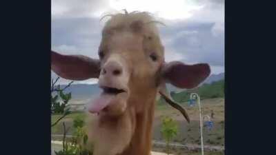 Talk about macroeconomics