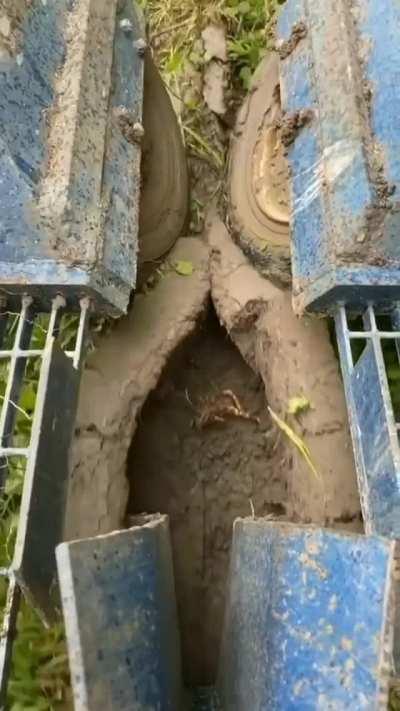 How Modern Day Mass Planting Works