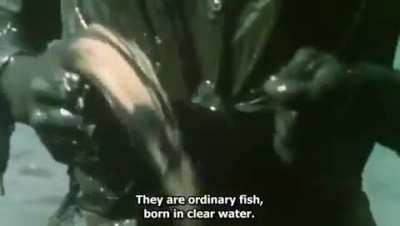 Malaysia in the 80's, catching fish