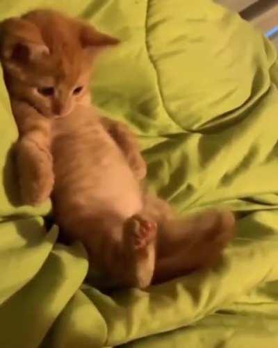 What the heck is that..?