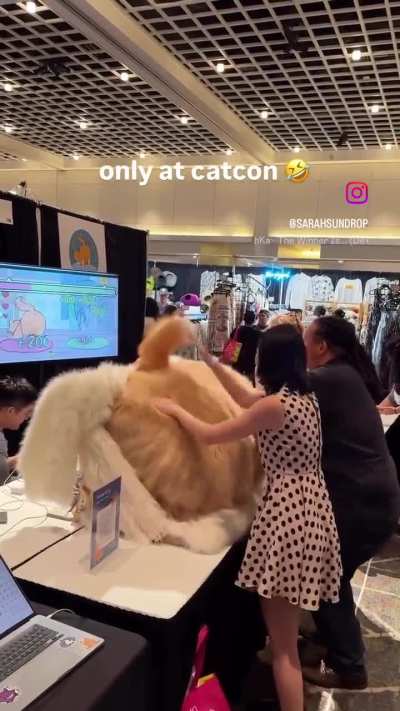 On IG, I stumpled over a catbongo arcade game! 😍