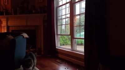 The old man and the rain