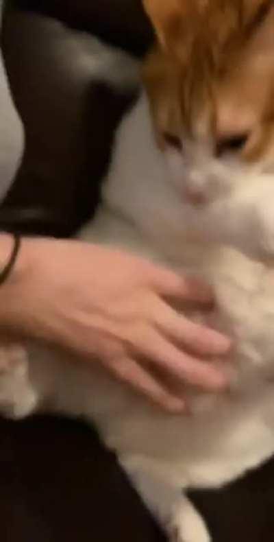 Зло берёт, когда ты в меру упитанный, а тебя называют жирным