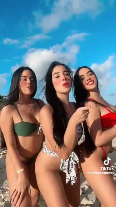 TikTok girls twerking