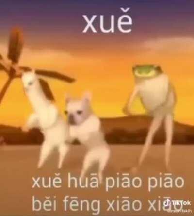 Bts depois de parar a live do oroki: