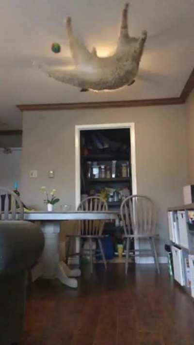 Slight miscatculation