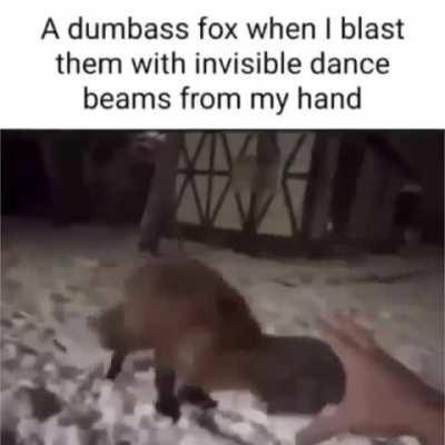 I have taught my familiar to groove! 