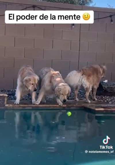 El poder de la mente