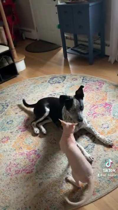 Some things never change.