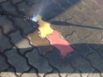 I never would have guessed that this was how they looked.