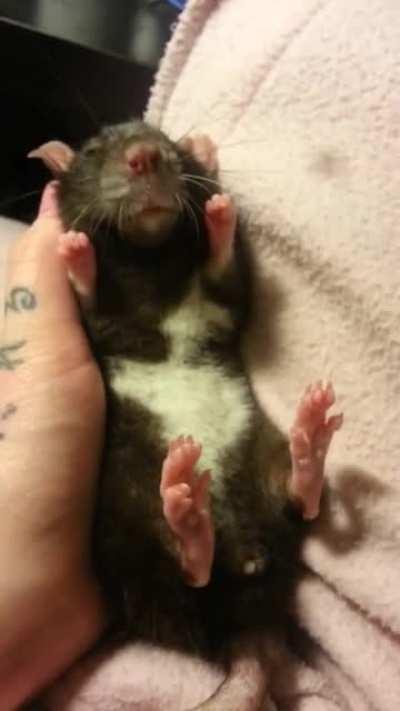 It's been 6 years, and I still miss you 🥺