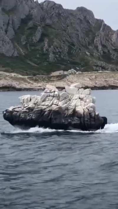 Boat disguised as a rock