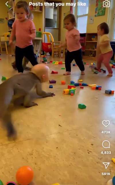 Part baby part lizard