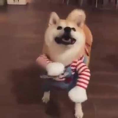 MonkaW cuidado chat eles estão armados